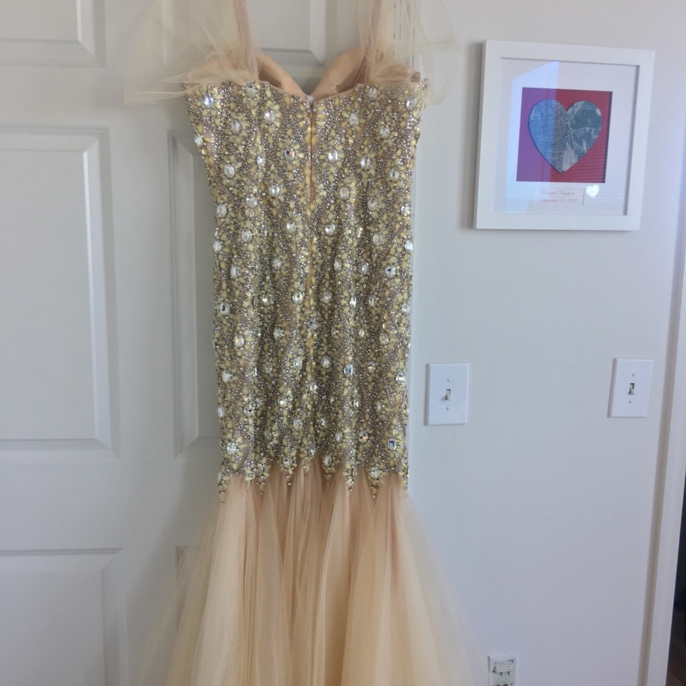 Terani Couture formal dress
